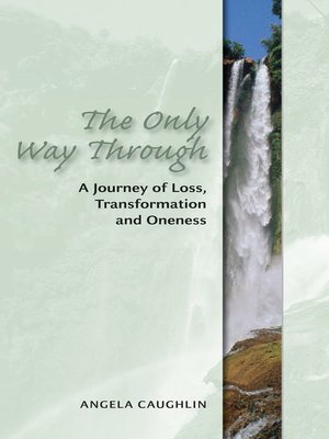 cover image of The Only Way Through